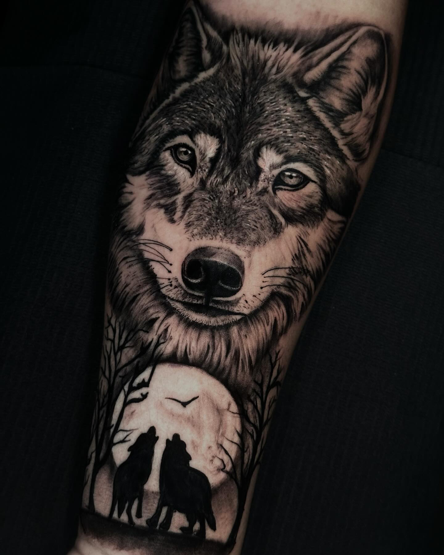 Wolf